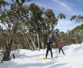 Mt Baw Baw Alpine Resort - Redcliffe Tourism 4