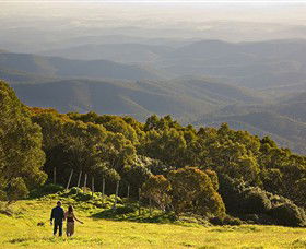 Mt Baw Baw Alpine Resort - Redcliffe Tourism 6