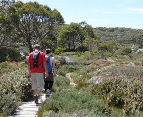 Mt Baw Baw Alpine Resort - Redcliffe Tourism 7