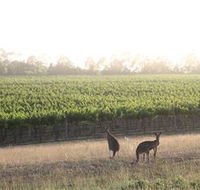 Small Forest Wine - Redcliffe Tourism