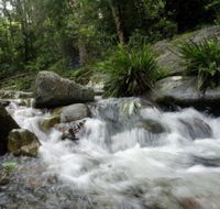Washpool National Park - Redcliffe Tourism