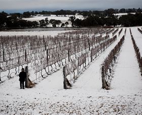 Savina Lane Premum Wines - Redcliffe Tourism 2