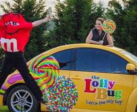 The Lolly Bug - Redcliffe Tourism 0