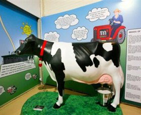 Hunter Belle Cheese - Redcliffe Tourism 3