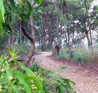 Mount Mutton Walking Trail - Redcliffe Tourism