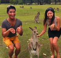 Runaway Tours - Redcliffe Tourism