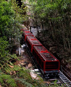 Andersons Tours - Redcliffe Tourism 1