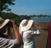 Follow That Bird - Redcliffe Tourism
