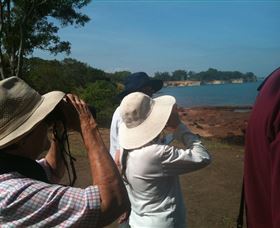 Follow That Bird - Redcliffe Tourism 0