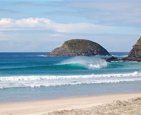 Surfaris Surf Camp - Redcliffe Tourism 4