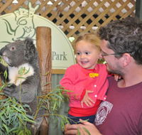 Blue Diamond Tours - Redcliffe Tourism