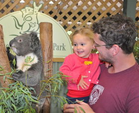 Blue Diamond Tours - Redcliffe Tourism 0