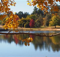 Ross Garden Tours - Redcliffe Tourism