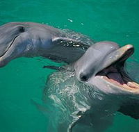 Colourful Trips - Redcliffe Tourism