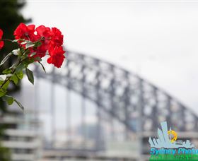 Sydney Photo Tours - Redcliffe Tourism 3