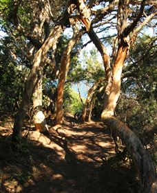 My Walking Detour - Redcliffe Tourism 6