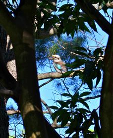 My Walking Detour - Redcliffe Tourism 5
