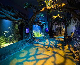 SEA LIFE Sydney Aquarium - Redcliffe Tourism 2