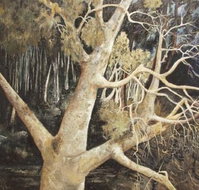 Ku-Ring-Gai Art Centre  Gallery - Redcliffe Tourism