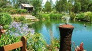 Gone Walkabout Safaris - Redcliffe Tourism 0