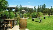 Gone Walkabout Safaris - Redcliffe Tourism 2