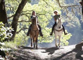 Hunter Valley Horse Riding And Adventures - Redcliffe Tourism 1