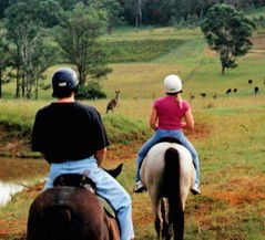 Hunter Valley Horse Riding And Adventures - Redcliffe Tourism 3