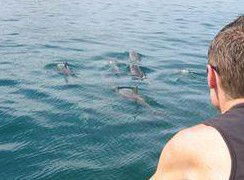 Tex Tours - Redcliffe Tourism 3