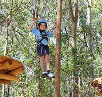 TreeTops Newcastle - Redcliffe Tourism