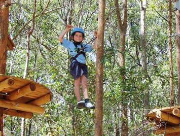 TreeTops Newcastle - Redcliffe Tourism 0