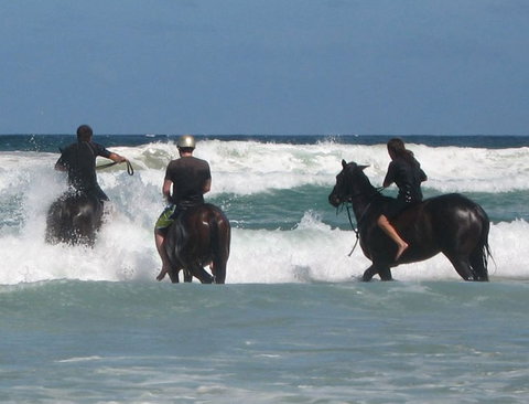 Pegasus Park Equestrian Centre - Redcliffe Tourism 0