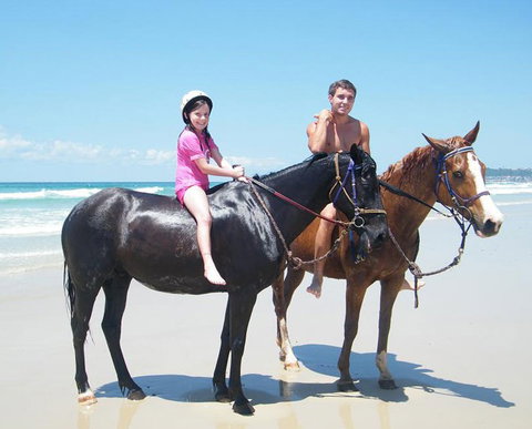 Pegasus Park Equestrian Centre - Redcliffe Tourism 1