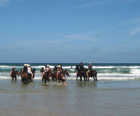 Pegasus Park Equestrian Centre - Redcliffe Tourism 2