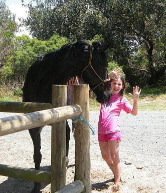 Pegasus Park Equestrian Centre - Redcliffe Tourism 3