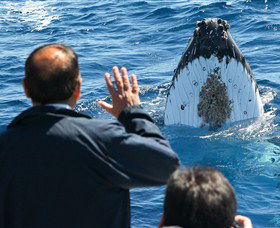 Bass & Flinders Cruises - Redcliffe Tourism 3
