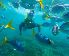 G Adventures - Redcliffe Tourism 0