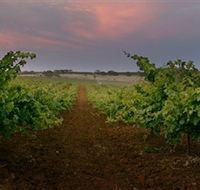 Wine Class - Redcliffe Tourism