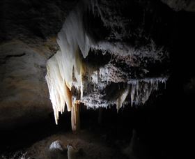 Country Charmâ„¢ Discovery Tours - Redcliffe Tourism 1