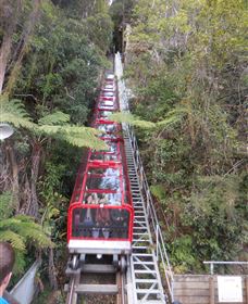 Country Charmâ„¢ Discovery Tours - Redcliffe Tourism 6