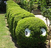 Nutcote - May Gibbs' Home - House Museum - Redcliffe Tourism