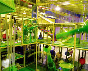 Monkey Mania EQ - Redcliffe Tourism 2