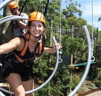 Wild Ropes at Taronga Zoo - Redcliffe Tourism