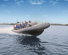 Manly Ocean Adventures - Redcliffe Tourism 1