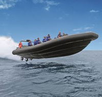 Manly Ocean Adventures - Redcliffe Tourism