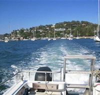 scubamunkies - Redcliffe Tourism
