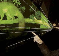 After Dark Nature Tours - Redcliffe Tourism