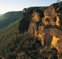 Blue Mountains Mountain Bike Adventure Tour - Redcliffe Tourism