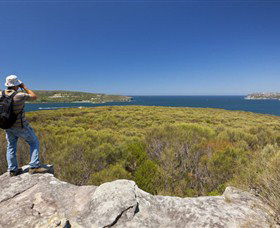 Manly To Spit Bridge Scenic Walkway - Redcliffe Tourism 6