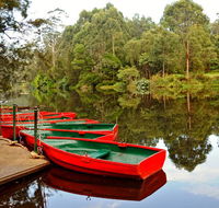 Lane Cove National Park - Redcliffe Tourism