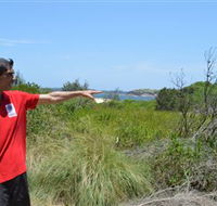Kadoo Tours - Redcliffe Tourism